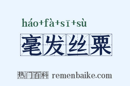毫发丝粟是什么意思的图片